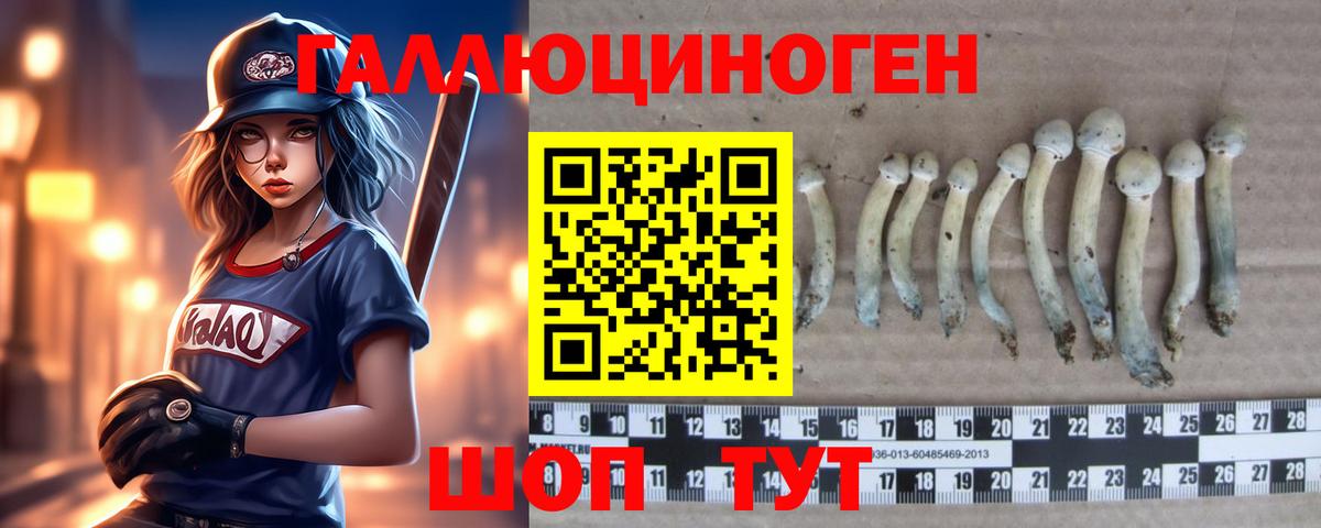 Псилоцибиновые грибы ЛСД Видное