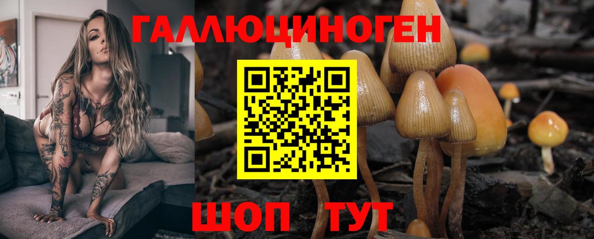 Галлюциногенные грибы Magic Shrooms  Псилоцибиновые грибы GOLDEN TEACHER  Вход с VPN  Видное 